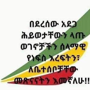 Meet your Posher, Meseret